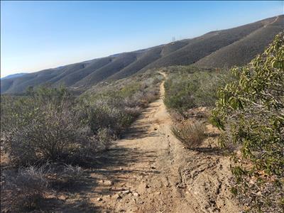 Dirty December Fun Run